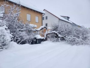 Ein Baum ist durch die Schneelast in zwei Teile auseinandergebrochen und auf unser Haus gestürzt